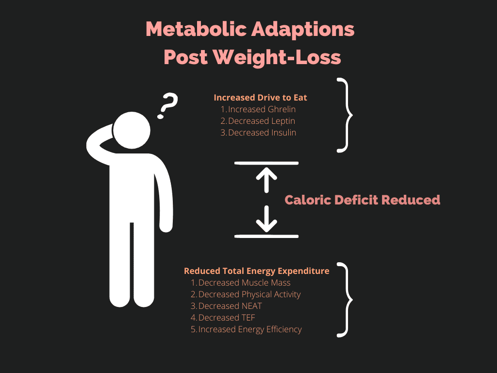 metabolic adaptations that occur during dieting/weight-loss